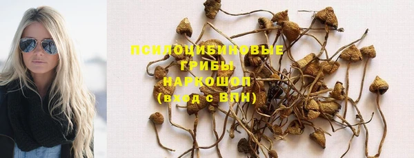 героин Алексин