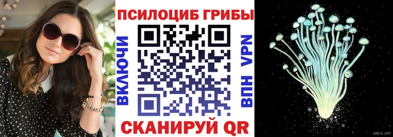 Псилоцибиновые грибы Psilocybine cubensis  mega сайт  Перевоз 